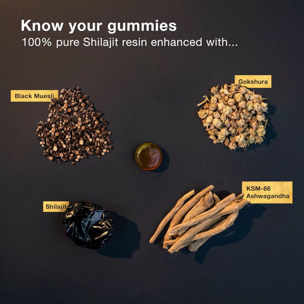 Redécouvrez votre énergie naturelle avec le Shilajit.